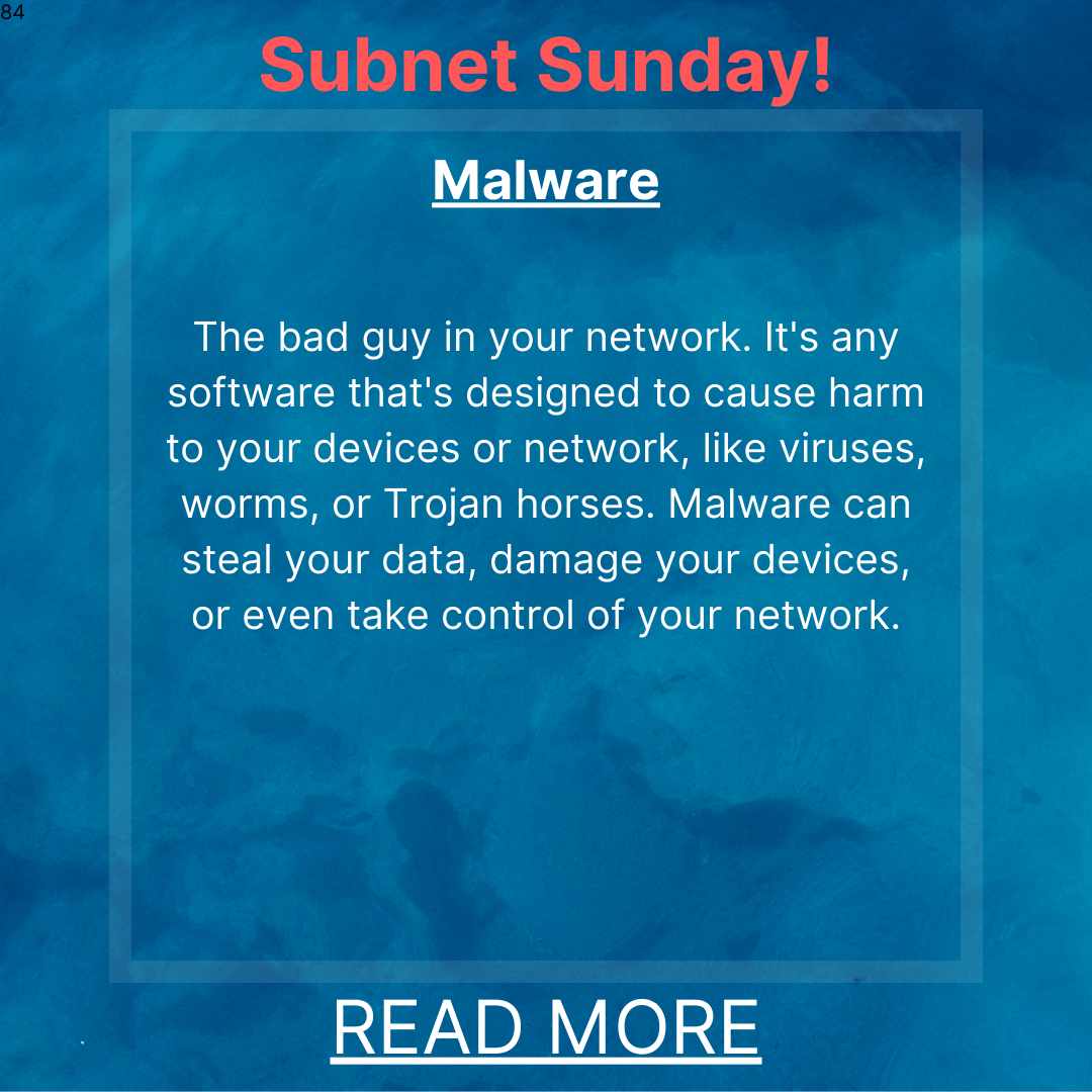 Subnet Sunday: Malware – Understanding the Threats to Your Network